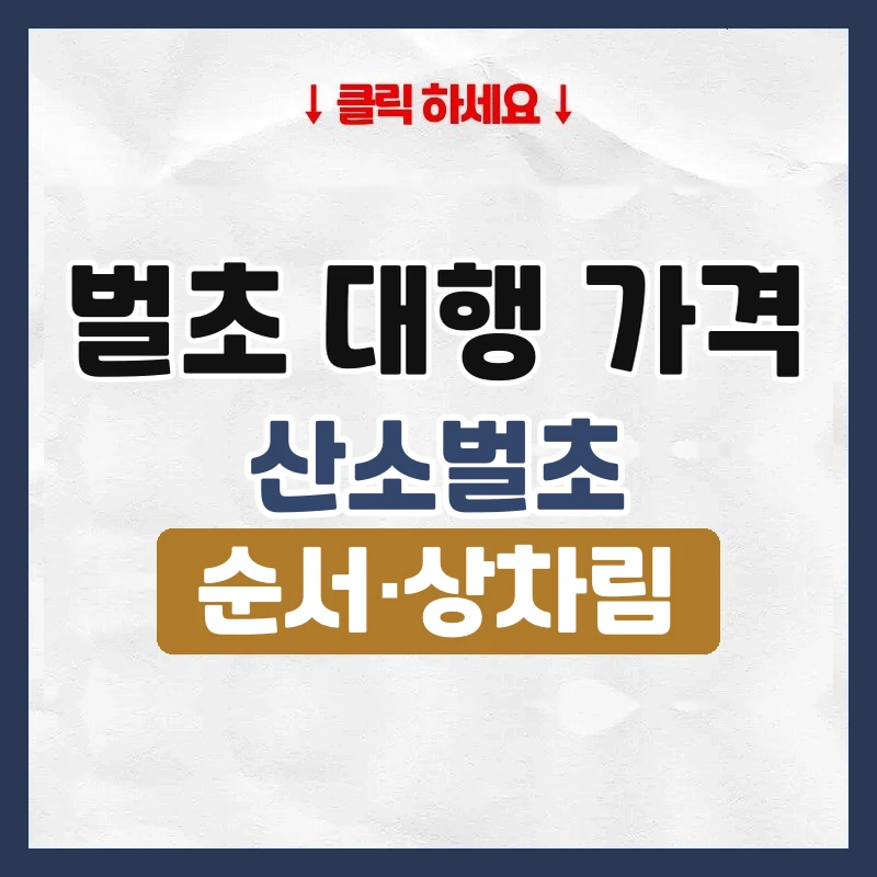 벌초 대행 가격